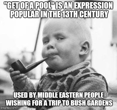Think About It | "GET OF A POOL" IS AN EXPRESSION POPULAR IN THE 13TH CENTURY USED BY MIDDLE EASTERN PEOPLE WISHING FOR A TRIP TO BUSH GARDENS | image tagged in think about it | made w/ Imgflip meme maker