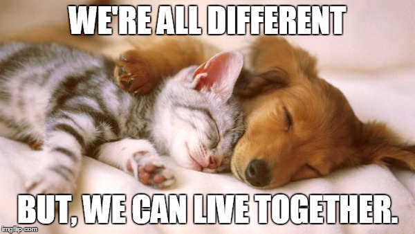 cats and dogs sleeping together | WE'RE ALL DIFFERENT; BUT, WE CAN LIVE TOGETHER. | image tagged in cats and dogs sleeping together | made w/ Imgflip meme maker