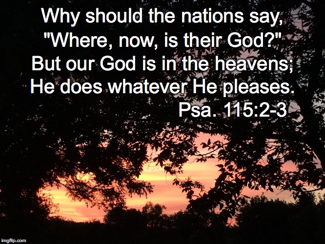 Why should the nations say, "Where, now, is their God?"; But our God is in the heavens;; He does whatever He pleases. Psa. 115:2-3 | image tagged in god is in the heavens | made w/ Imgflip meme maker