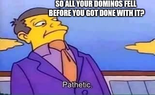 skinner pathetic | SO ALL YOUR DOMINOS FELL BEFORE YOU GOT DONE WITH IT? | image tagged in skinner pathetic | made w/ Imgflip meme maker