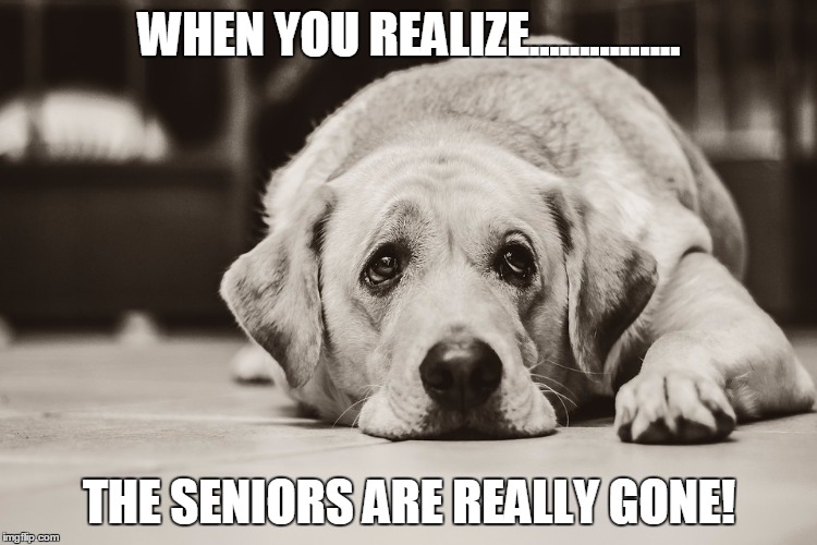 WHEN YOU REALIZE............... THE SENIORS ARE REALLY GONE! | image tagged in seniors are gone,sad,school,graduation | made w/ Imgflip meme maker