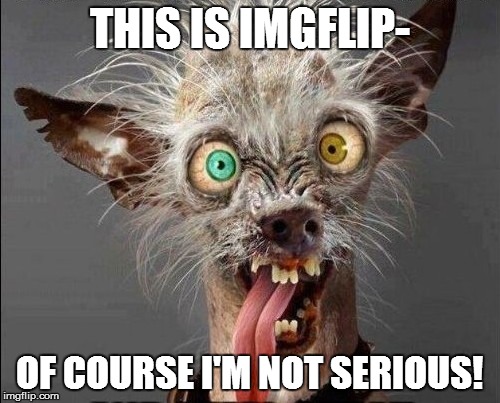 THIS IS IMGFLIP- OF COURSE I'M NOT SERIOUS! | made w/ Imgflip meme maker