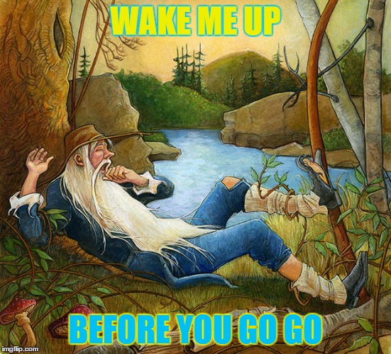 WAKE ME UP BEFORE YOU GO GO | made w/ Imgflip meme maker