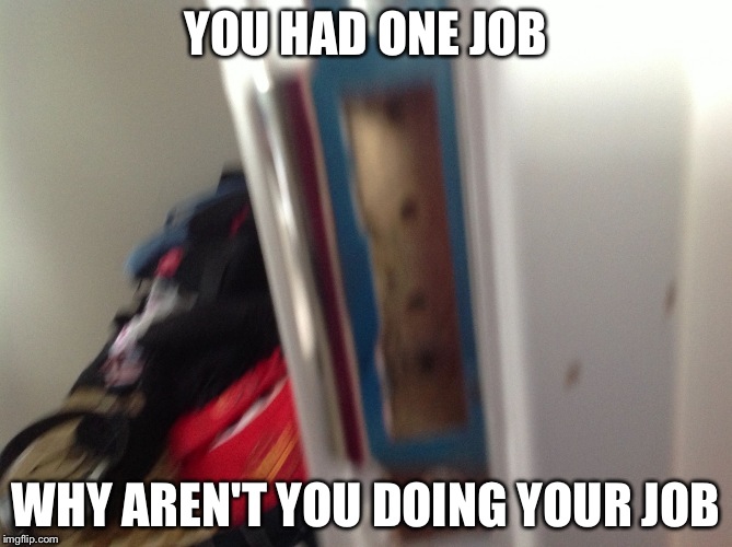 YOU HAD ONE JOB; WHY AREN'T YOU DOING YOUR JOB | image tagged in you had one job | made w/ Imgflip meme maker