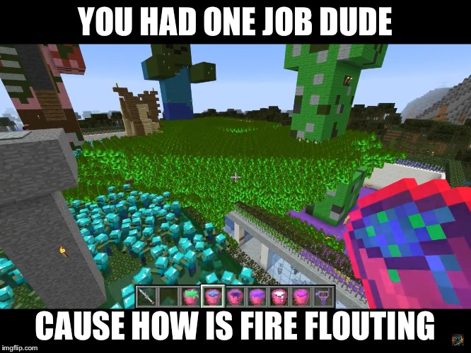 YOU HAD ONE JOB DUDE; CAUSE HOW IS FIRE FLOUTING | image tagged in you had one job minecraft | made w/ Imgflip meme maker