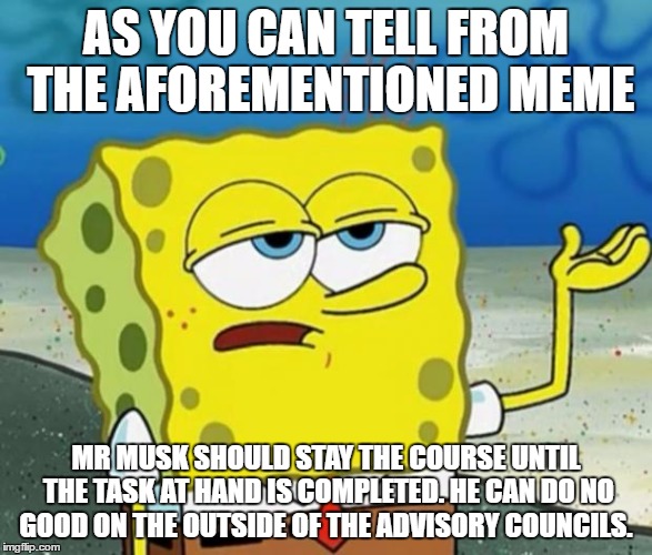 sponge bob's opinion on elon musk | AS YOU CAN TELL FROM THE AFOREMENTIONED MEME; MR MUSK SHOULD STAY THE COURSE UNTIL THE TASK AT HAND IS COMPLETED. HE CAN DO NO GOOD ON THE OUTSIDE OF THE ADVISORY COUNCILS. | image tagged in sponge bob,elon musk,advisory council | made w/ Imgflip meme maker