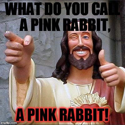 Buddy Christ Meme | WHAT DO YOU CALL  A PINK RABBIT, A PINK RABBIT! | image tagged in memes,buddy christ | made w/ Imgflip meme maker