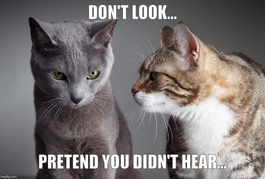 You Didn't Share ?!?! | DON'T LOOK... PRETEND YOU DIDN'T HEAR... | image tagged in you didn't share | made w/ Imgflip meme maker