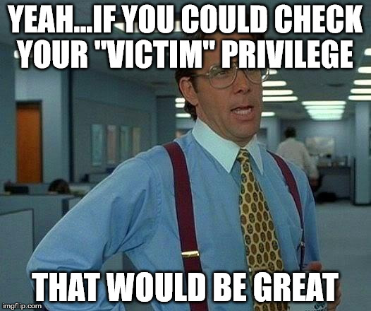 That Would Be Great | YEAH...IF YOU COULD CHECK YOUR "VICTIM" PRIVILEGE; THAT WOULD BE GREAT | image tagged in memes,that would be great | made w/ Imgflip meme maker