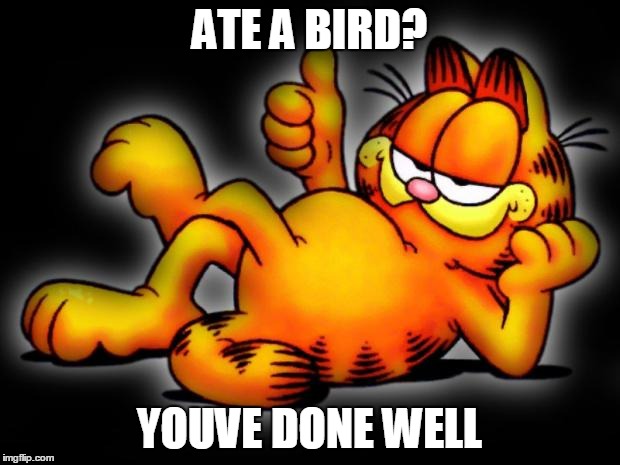 garfield thumbs up | ATE A BIRD? YOUVE DONE WELL | image tagged in garfield thumbs up | made w/ Imgflip meme maker