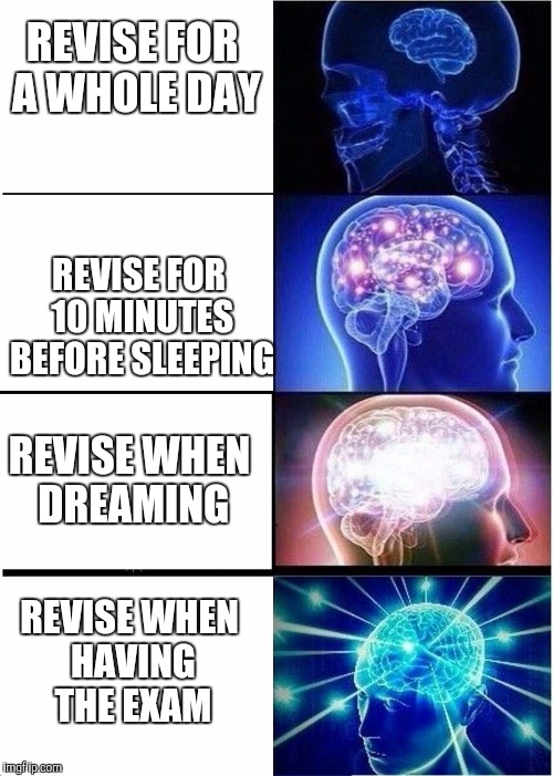 How to revise EFFICIENTLY | REVISE FOR A WHOLE DAY; REVISE FOR 10 MINUTES BEFORE SLEEPING; REVISE WHEN DREAMING; REVISE WHEN HAVING THE EXAM | image tagged in expanding brain | made w/ Imgflip meme maker