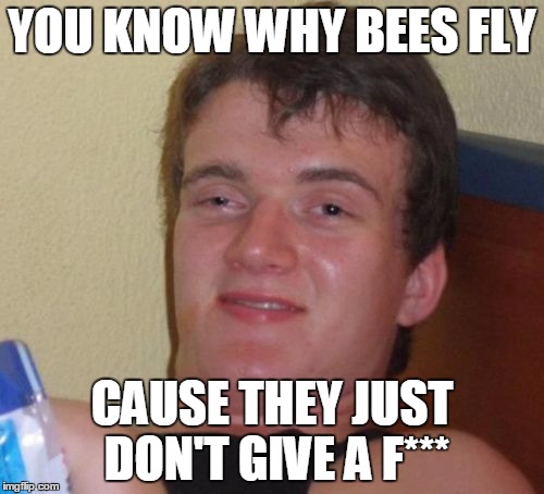 10 Guy Meme | YOU KNOW WHY BEES FLY; CAUSE THEY JUST DON'T GIVE A F*** | image tagged in memes,10 guy | made w/ Imgflip meme maker