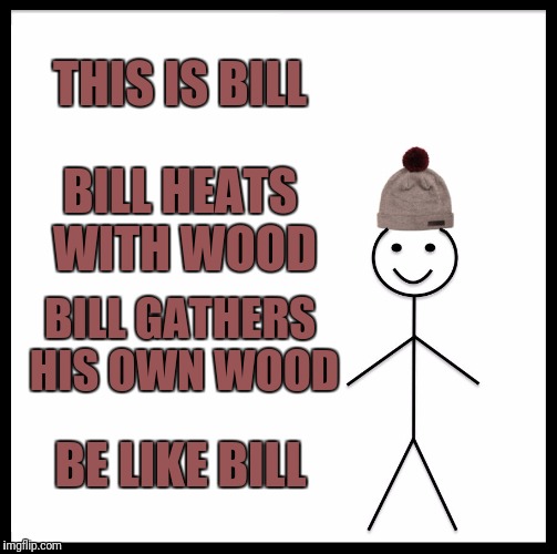 Be Like Bill Meme | THIS IS BILL BILL HEATS WITH WOOD BILL GATHERS HIS OWN WOOD BE LIKE BILL | image tagged in memes,be like bill | made w/ Imgflip meme maker