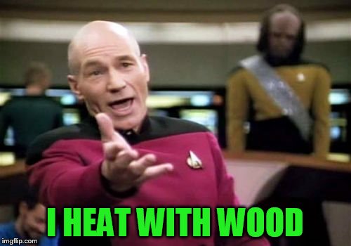 Picard Wtf Meme | I HEAT WITH WOOD | image tagged in memes,picard wtf | made w/ Imgflip meme maker
