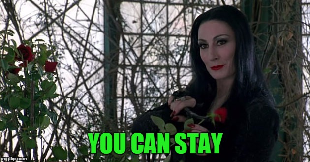 Addams Family | YOU CAN STAY | image tagged in addams family | made w/ Imgflip meme maker