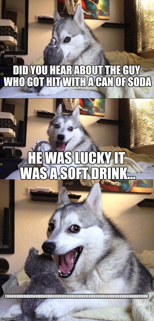 Bad Pun Dog | DID YOU HEAR ABOUT THE GUY WHO GOT HIT WITH A CAN OF SODA; HE WAS LUCKY IT WAS A SOFT DRINK... EHHHHHHHHHHHHHHHHHHHHHHHHHHHHHHHHHHHHHHHHHHHHHHHHHHHHHHHHHHH | image tagged in memes,bad pun dog | made w/ Imgflip meme maker