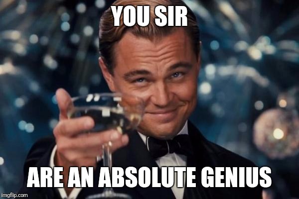 Leonardo Dicaprio Cheers Meme | YOU SIR ARE AN ABSOLUTE GENIUS | image tagged in memes,leonardo dicaprio cheers | made w/ Imgflip meme maker