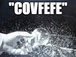 American Idiot on Film | "COVFEFE" | image tagged in donald trump | made w/ Imgflip meme maker