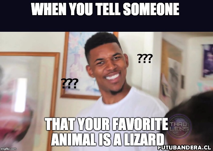 Wait.. What? | WHEN YOU TELL SOMEONE; THAT YOUR FAVORITE ANIMAL IS A LIZARD | image tagged in what in tarnation | made w/ Imgflip meme maker