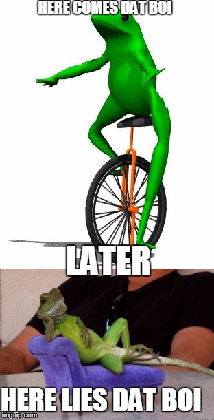 dat boi | HERE COMES DAT BOI; LATER; HERE LIES DAT BOI | image tagged in here come dat boi,lazy | made w/ Imgflip meme maker