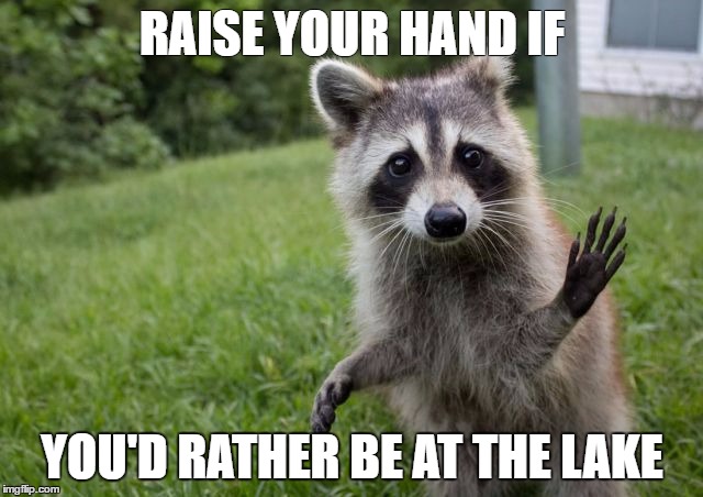RAISE YOUR HAND IF; YOU'D RATHER BE AT THE LAKE | made w/ Imgflip meme maker