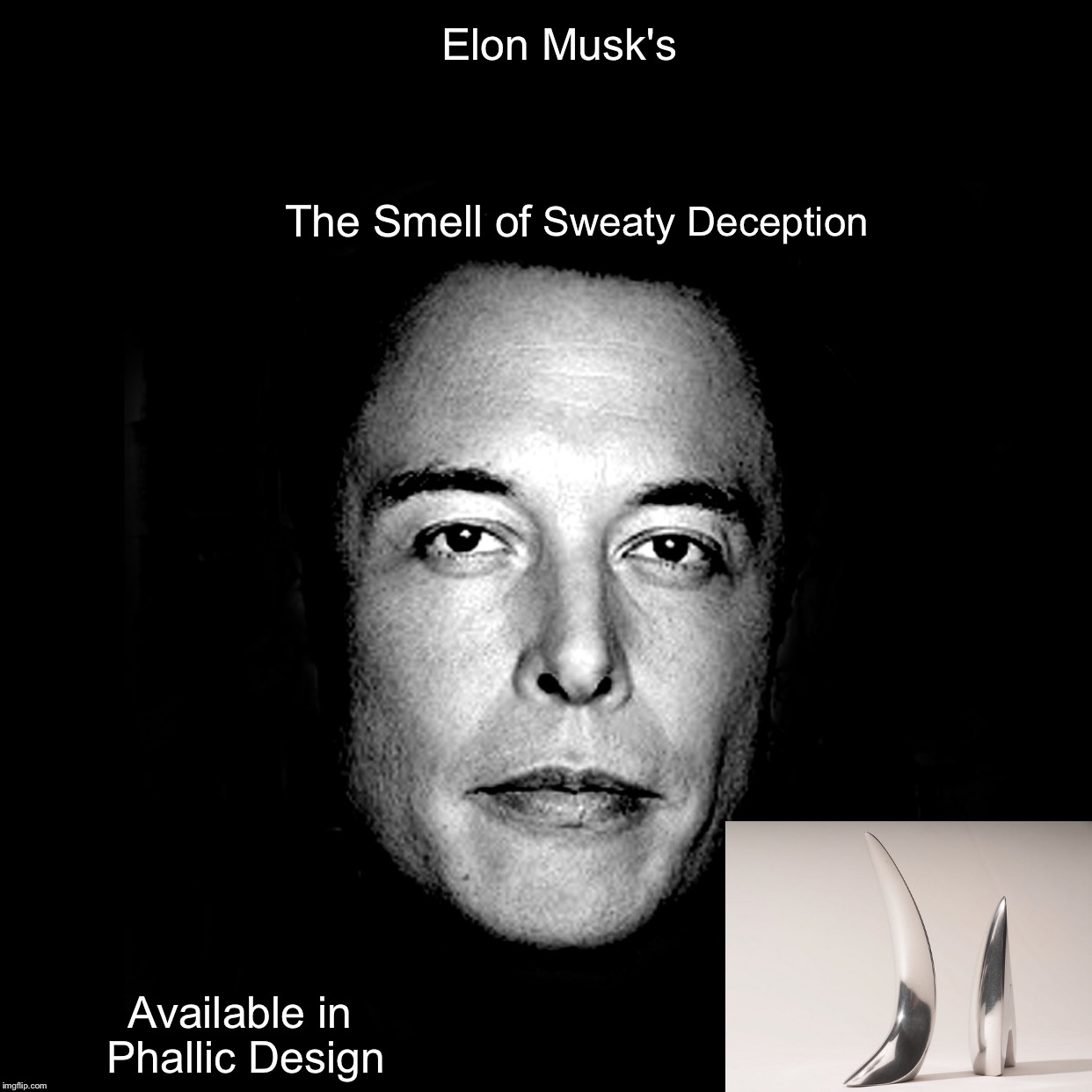 Elon's Musk Cologne for Scum | Elon Musk's; The Smell of; Sweaty Deception; Available in Phallic Design | image tagged in elon musk | made w/ Imgflip meme maker