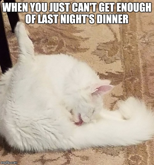WHEN YOU JUST CAN'T GET ENOUGH OF LAST NIGHT'S DINNER | image tagged in memes | made w/ Imgflip meme maker