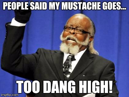 Too Damn High Meme | PEOPLE SAID MY MUSTACHE GOES... TOO DANG HIGH! | image tagged in memes,too damn high | made w/ Imgflip meme maker