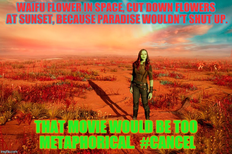 WAIFU FLOWER IN SPACE, CUT DOWN FLOWERS AT SUNSET, BECAUSE PARADISE WOULDN'T SHUT UP. THAT MOVIE WOULD BE TOO METAPHORICAL.  #CANCEL | made w/ Imgflip meme maker