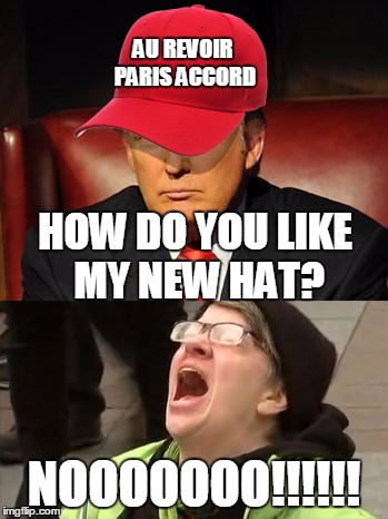 Tormentor in Chief | AU REVOIR PARIS ACCORD; HOW DO YOU LIKE MY NEW HAT? NOOOOOOO!!!!!! | image tagged in tormentor in chief | made w/ Imgflip meme maker