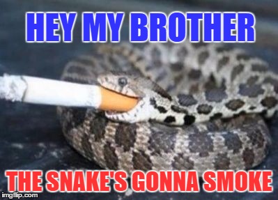 Smoking Snake | HEY MY BROTHER; THE SNAKE'S GONNA SMOKE | image tagged in smoking snake | made w/ Imgflip meme maker