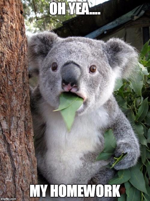 Surprised Koala Meme | OH YEA.... MY HOMEWORK | image tagged in memes,surprised koala | made w/ Imgflip meme maker