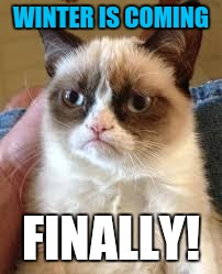 Game of Groans | WINTER IS COMING; FINALLY! | image tagged in game of thrones,grumpy cat | made w/ Imgflip meme maker