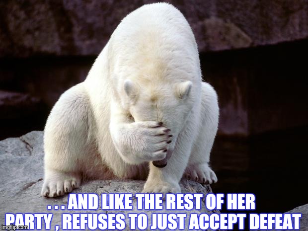 Polar Bear | . . . AND LIKE THE REST OF HER PARTY , REFUSES TO JUST ACCEPT DEFEAT | image tagged in polar bear | made w/ Imgflip meme maker