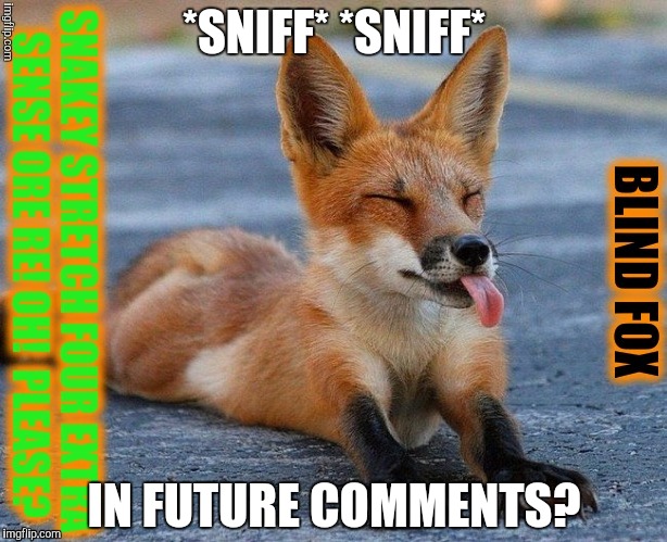 *SNIFF* *SNIFF* IN FUTURE COMMENTS? | made w/ Imgflip meme maker
