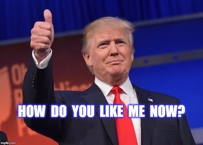 donald trump | HOW  DO  YOU  LIKE  ME  NOW? | image tagged in donald trump | made w/ Imgflip meme maker