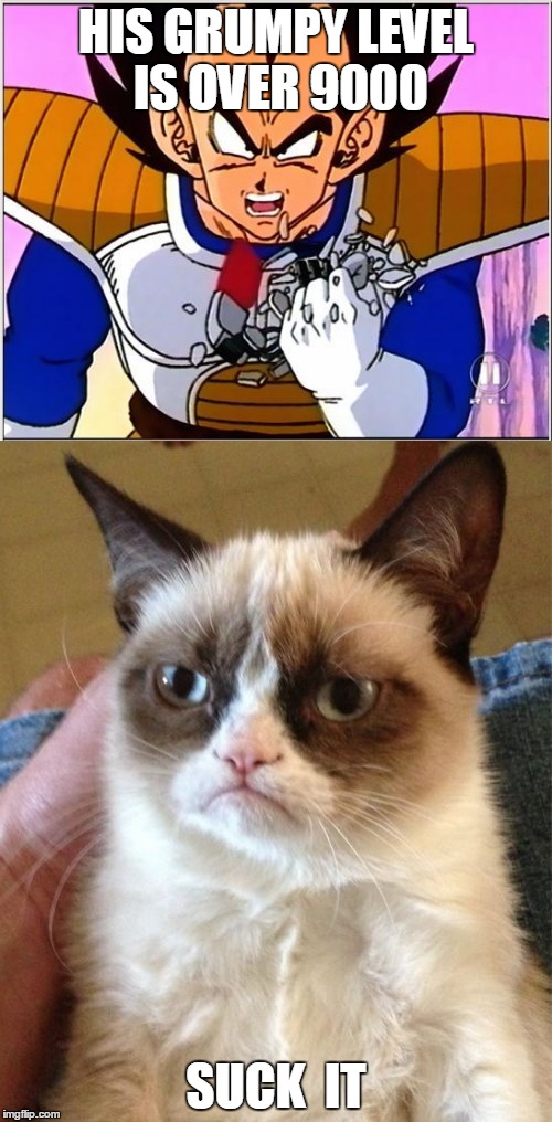 HIS GRUMPY LEVEL IS OVER 9000; SUCK  IT | image tagged in vegeta,grumpy cat,memes | made w/ Imgflip meme maker