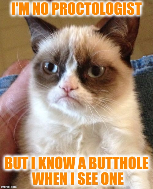 Grumpy Cat | I'M NO PROCTOLOGIST; BUT I KNOW A BUTTHOLE WHEN I SEE ONE | image tagged in memes,grumpy cat | made w/ Imgflip meme maker