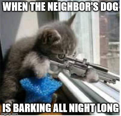 cats with guns | WHEN THE NEIGHBOR'S DOG; IS BARKING ALL NIGHT LONG | image tagged in cats with guns | made w/ Imgflip meme maker