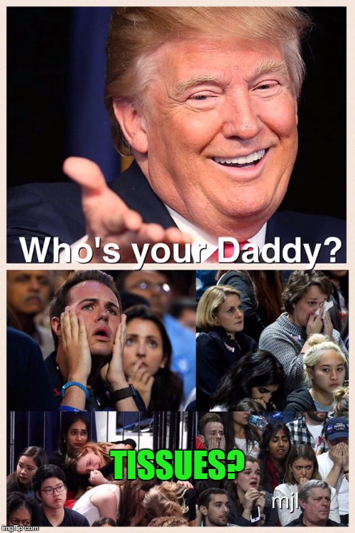 Who's your Daddy, snowflakes? | TISSUES? | image tagged in who's your daddy snowflakes? | made w/ Imgflip meme maker