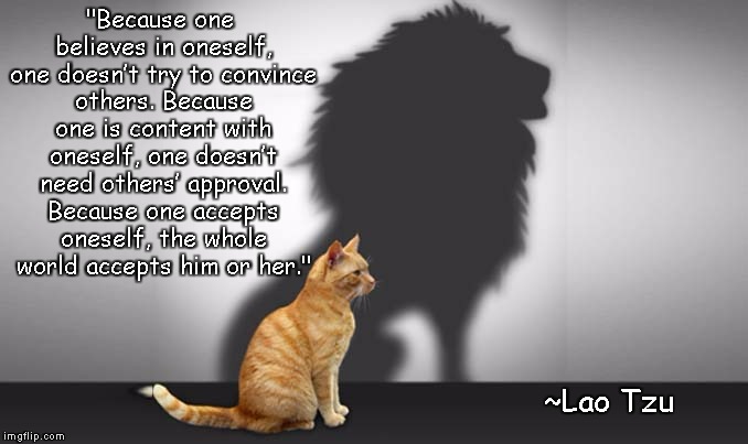 Cat w-Lion Shadow | "Because one believes in oneself, one doesn’t try to convince others. Because one is content with oneself, one doesn’t need others’ approval. Because one accepts oneself, the whole world accepts him or her."; ~Lao Tzu | image tagged in lao tzu,confidence,acceptance,strength,courage | made w/ Imgflip meme maker
