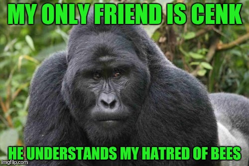 MY ONLY FRIEND IS CENK HE UNDERSTANDS MY HATRED OF BEES | made w/ Imgflip meme maker