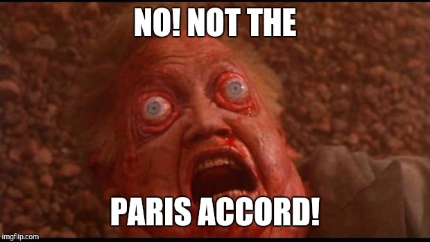 Total recall mars face | NO! NOT THE; PARIS ACCORD! | image tagged in total recall mars face | made w/ Imgflip meme maker