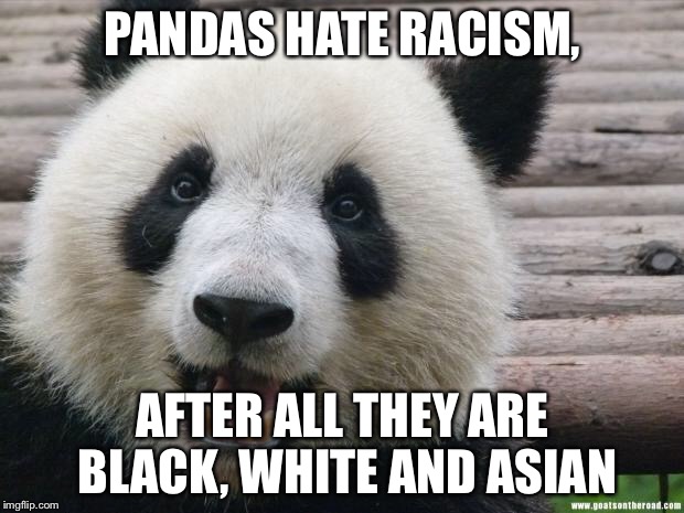 Happy Panda | PANDAS HATE RACISM, AFTER ALL THEY ARE BLACK, WHITE AND ASIAN | image tagged in happy panda | made w/ Imgflip meme maker