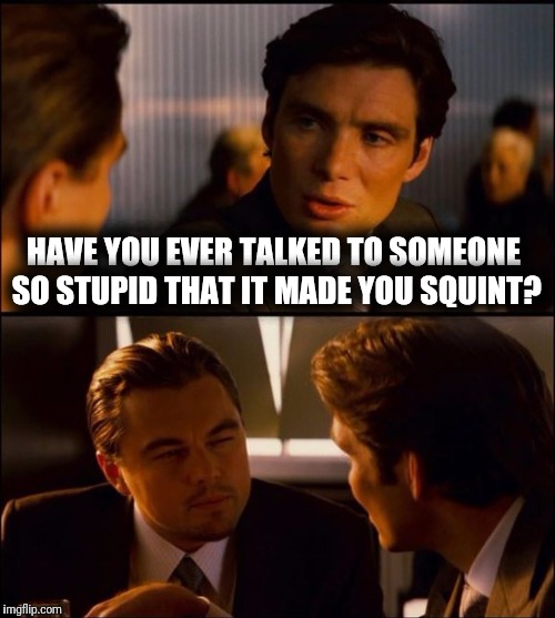 Inception 2 | HAVE YOU EVER TALKED TO SOMEONE SO STUPID THAT IT MADE YOU SQUINT? | image tagged in memes,inception2 | made w/ Imgflip meme maker