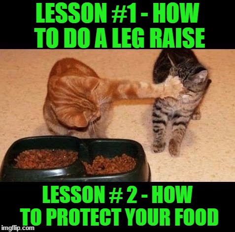 cats share food | LESSON #1 - HOW TO DO A LEG RAISE; LESSON # 2 - HOW TO PROTECT YOUR FOOD | image tagged in cats share food | made w/ Imgflip meme maker