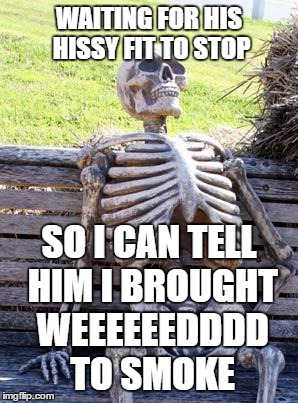 Waiting Skeleton Meme | WAITING FOR HIS HISSY FIT TO STOP SO I CAN TELL HIM I BROUGHT WEEEEEEDDDD TO SMOKE | image tagged in memes,waiting skeleton | made w/ Imgflip meme maker