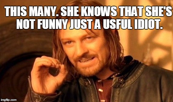 One Does Not Simply Meme | THIS MANY. SHE KNOWS THAT SHE'S NOT FUNNY JUST A USFUL IDIOT. | image tagged in memes,one does not simply | made w/ Imgflip meme maker