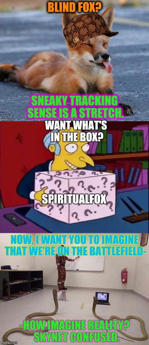 WANT WHAT'S IN THE BOX? SPIRITUALFOX | made w/ Imgflip meme maker