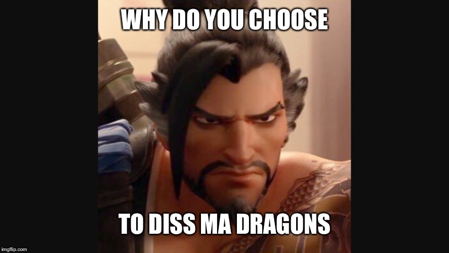 WHY DO YOU CHOOSE; TO DISS MA DRAGONS | image tagged in memes | made w/ Imgflip meme maker